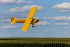 HAN5175_Action-31_lp2xmw