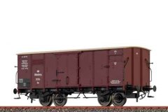 51244