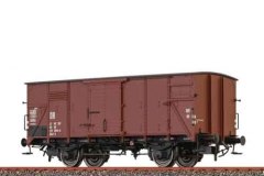 51254