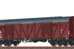 51268