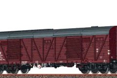 51269