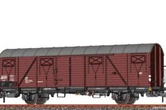 51294