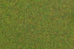171621_fg_01