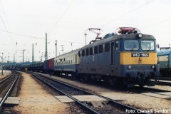 51446
