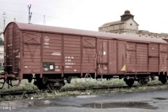 24517